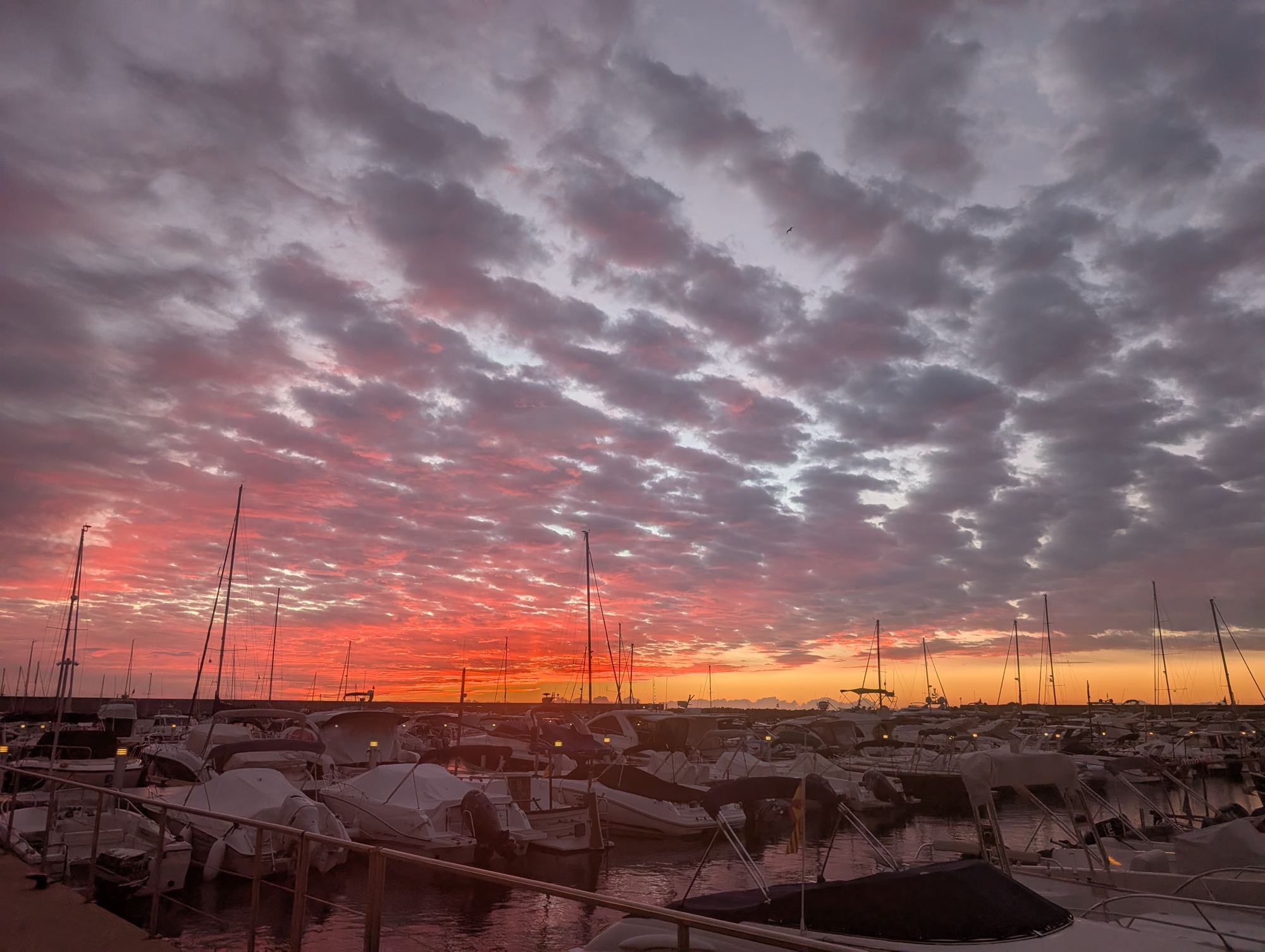 Cel de l'alba sobre Marina Palamós